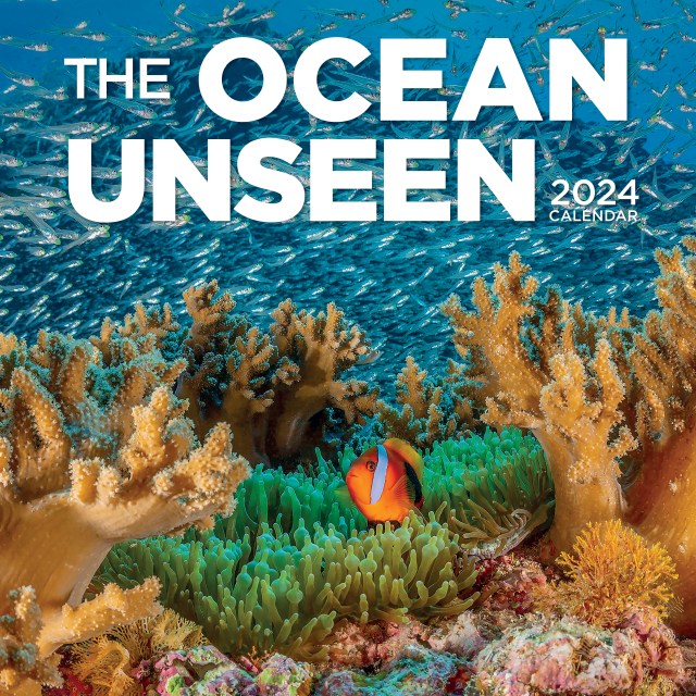 Ocean Unseen Wall Calendar 2024 by Workman Calendars Hachette Book Group