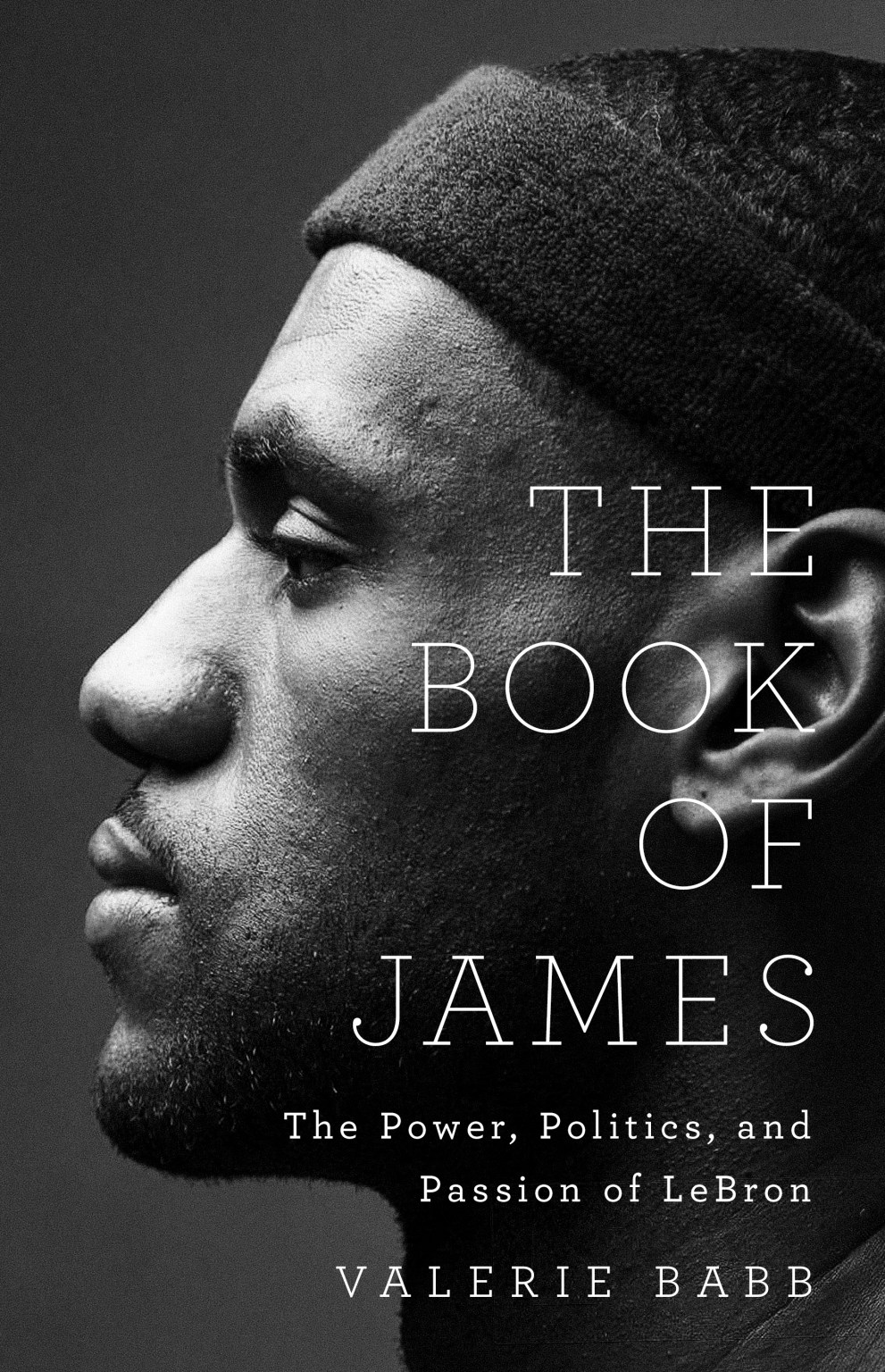 the-book-of-james-by-valerie-babb-hachette-book-group