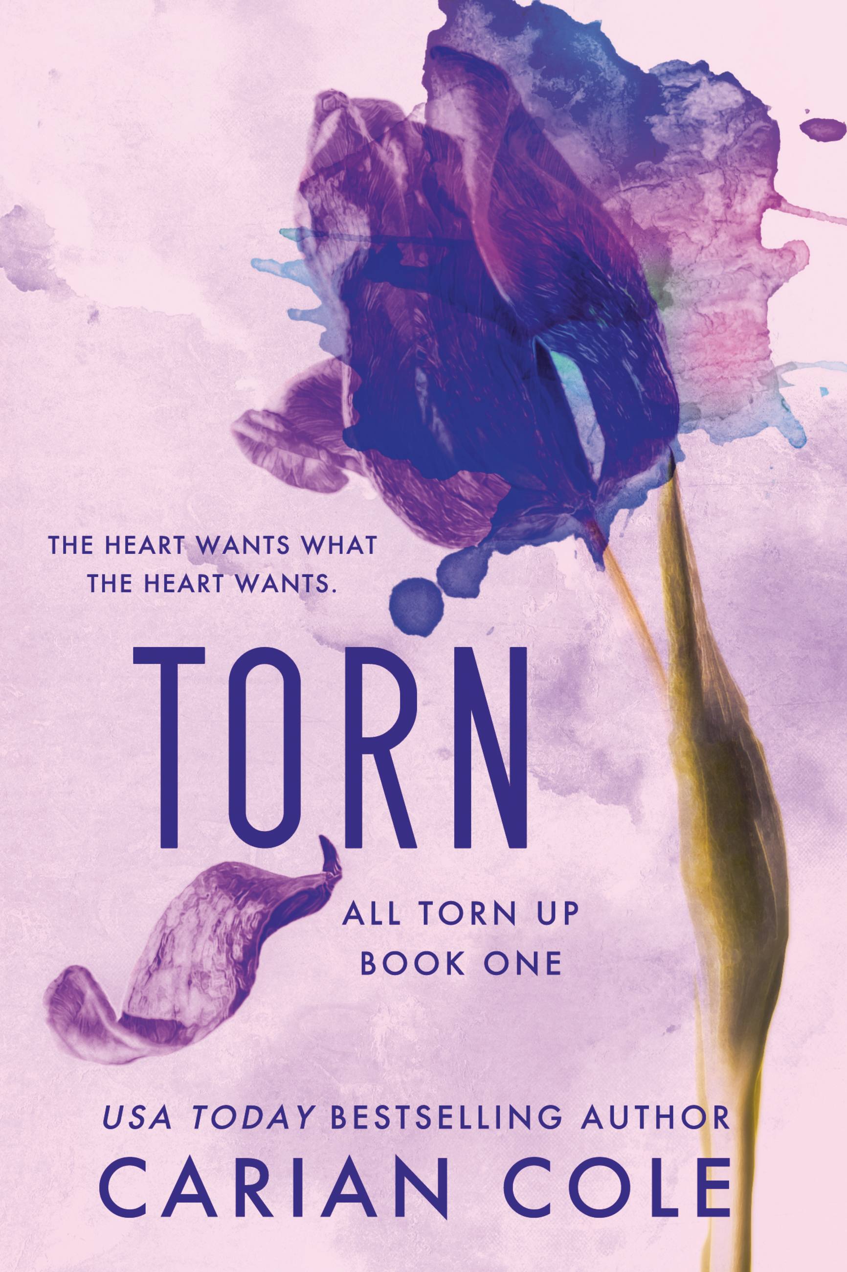 torn-by-carian-cole-hachette-book-group