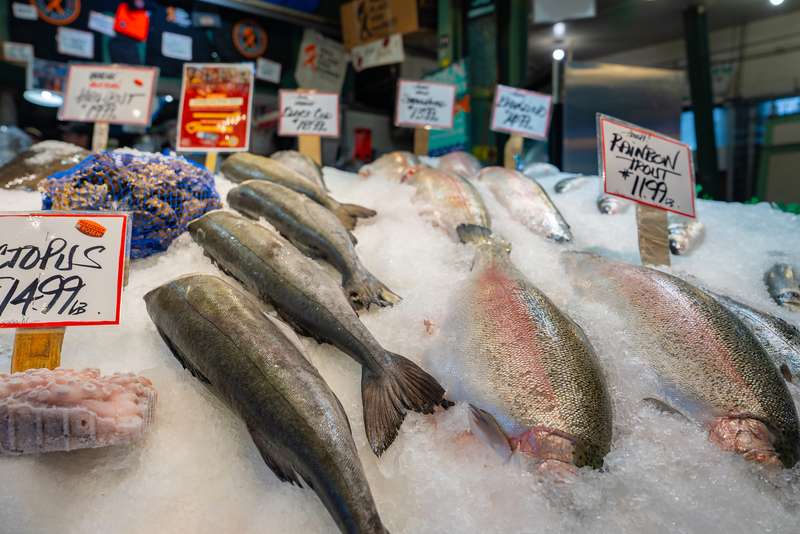 Fish displayed on ice at a market.