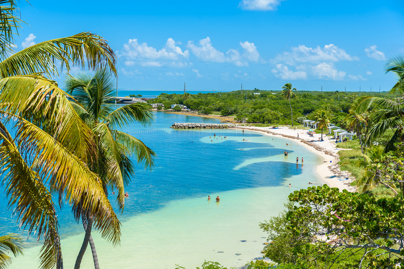 Image from high viewpoint of curving white sand beach with turquoise water and palm trees in foreground.