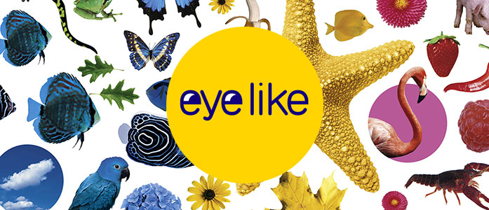 Eyelike Seasons Reusable Stickers