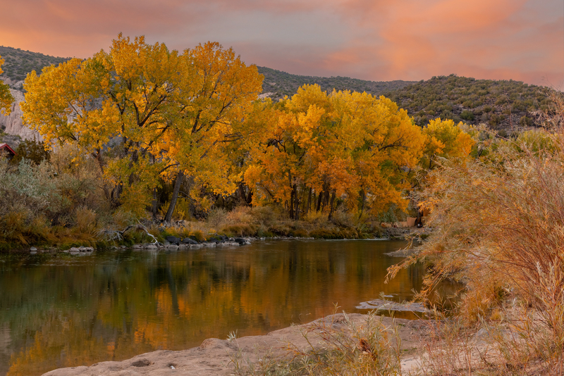 Image of golden fall trees along serene riverbank under pink clouds at sunset.