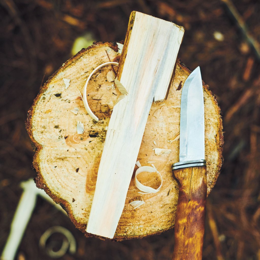 Knives and Wood Carving » Wilderness Awareness School