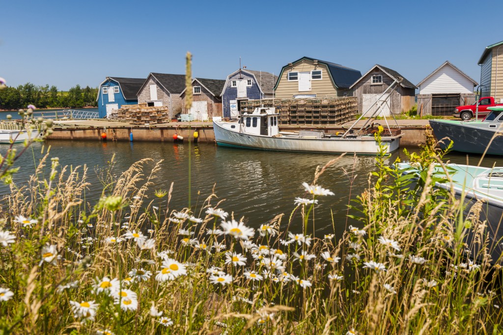 Boats docked along quaint fishing village with daisies and grass waving in the foreground.