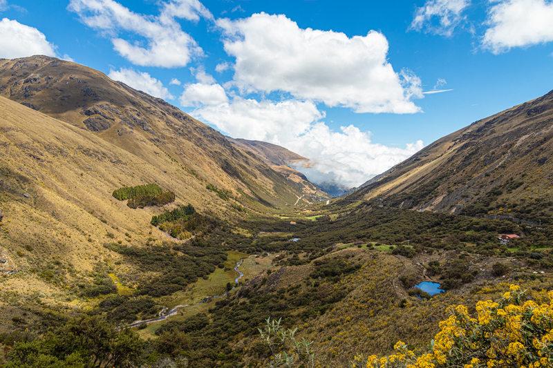 Image of mountain valley with yellow plants under bright blue sky with white puffy clouds