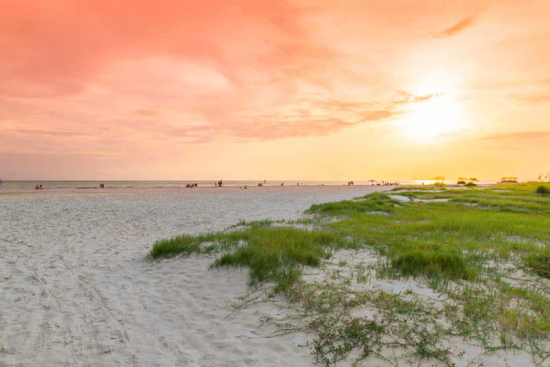 Image of white sand beach with bright green beach grass under peachy orange sunset