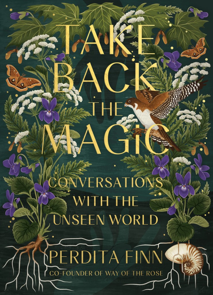 Cover of "Take Back the Magic"