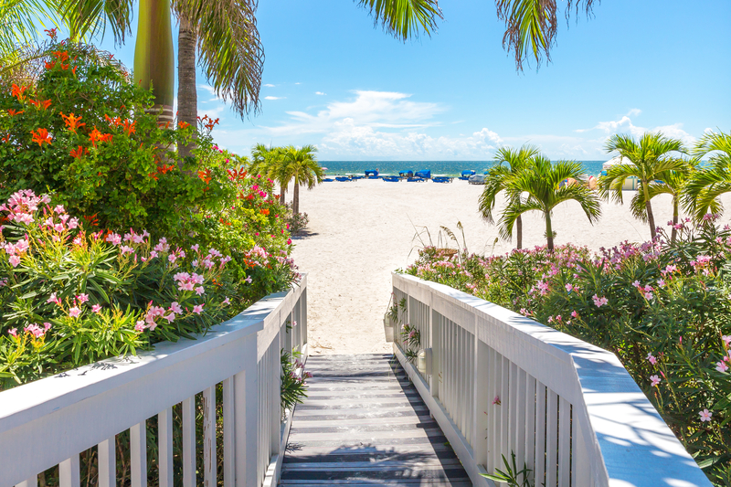 Image of white wooden boardwalk leading through lush garden and palm trees to sunny white sand beach