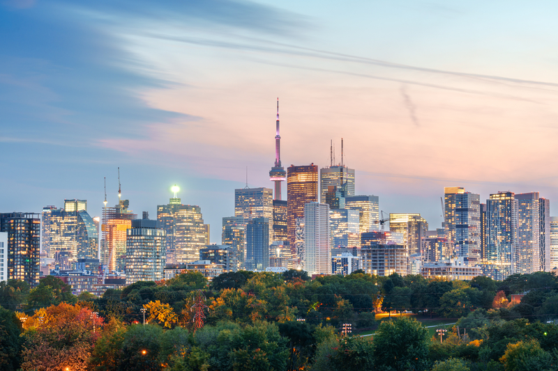 Image of city skyline illuminated at twilight with colorful trees in foreground.