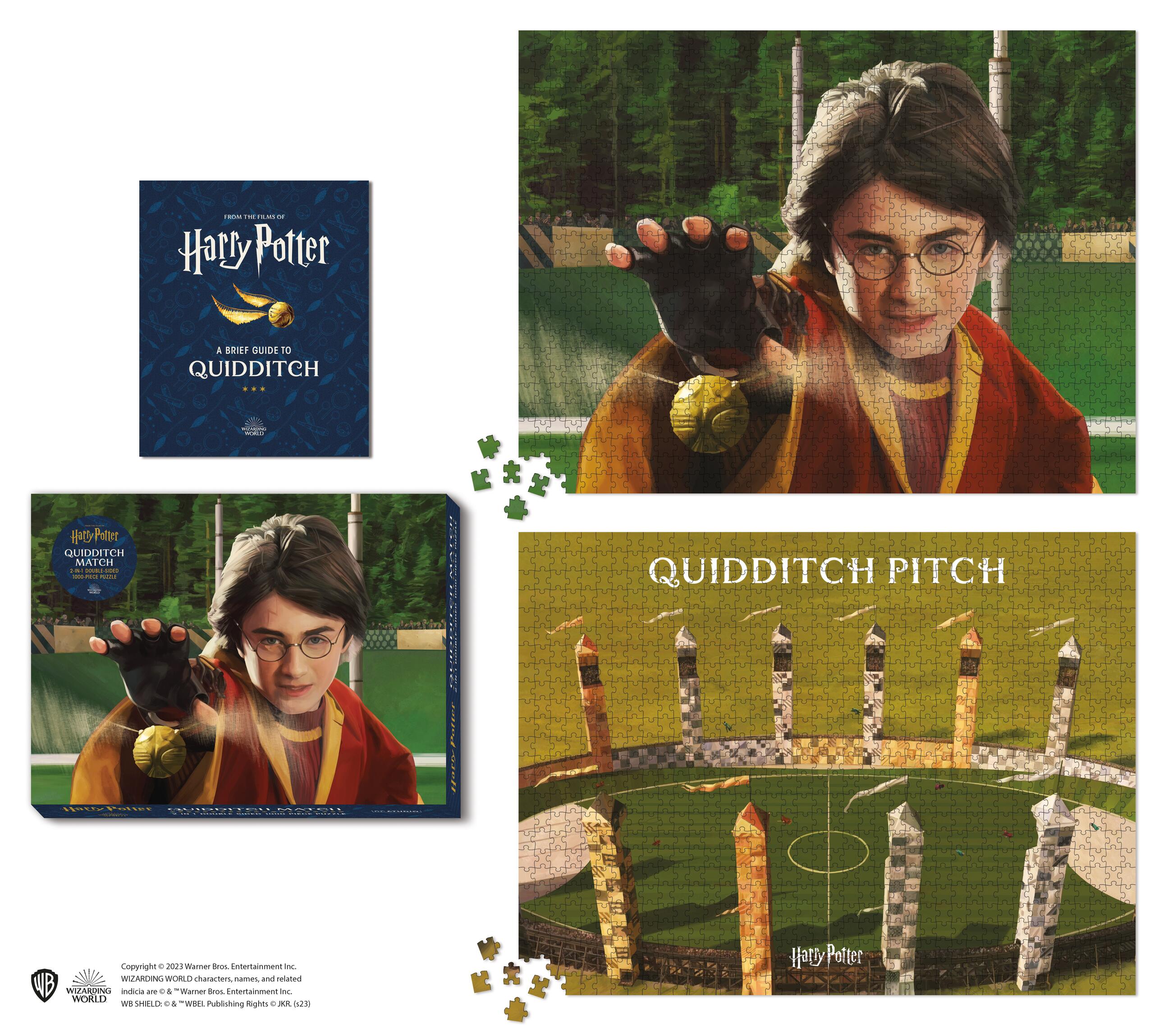Harry Potter Quidditch Match 2-in-1 Double-Sided 1000-Piece Puzzle by  Donald Lemke