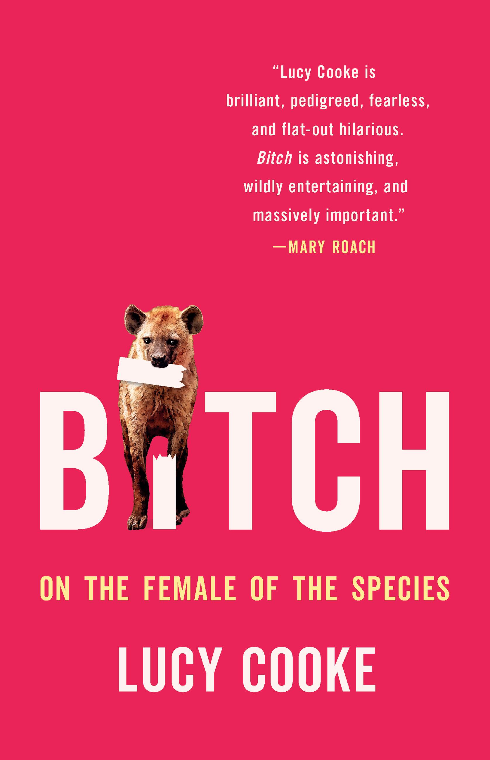 Bitch by Lucy Cooke  Hachette Book Group