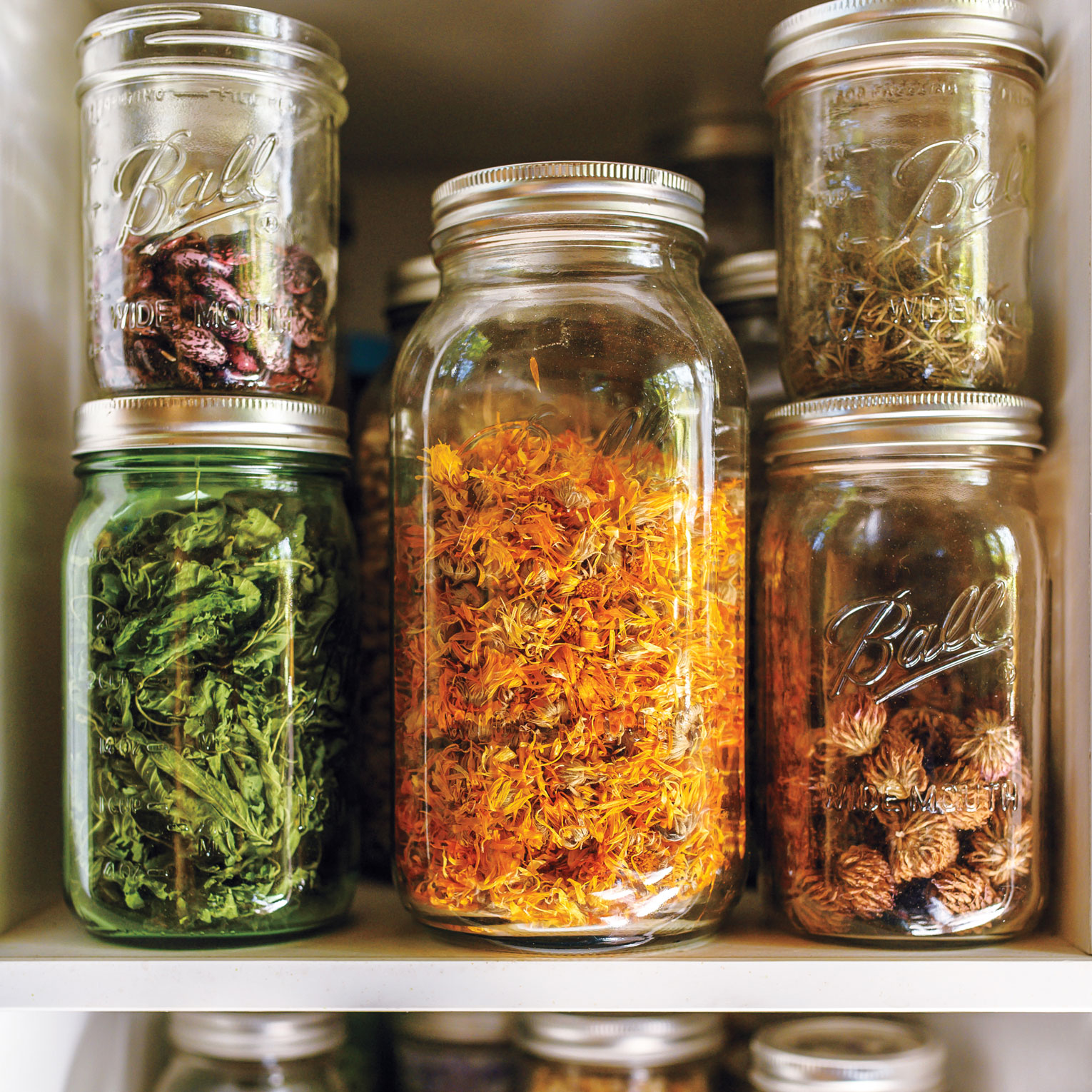 How to Dry Store Herbs Hachette Book Group