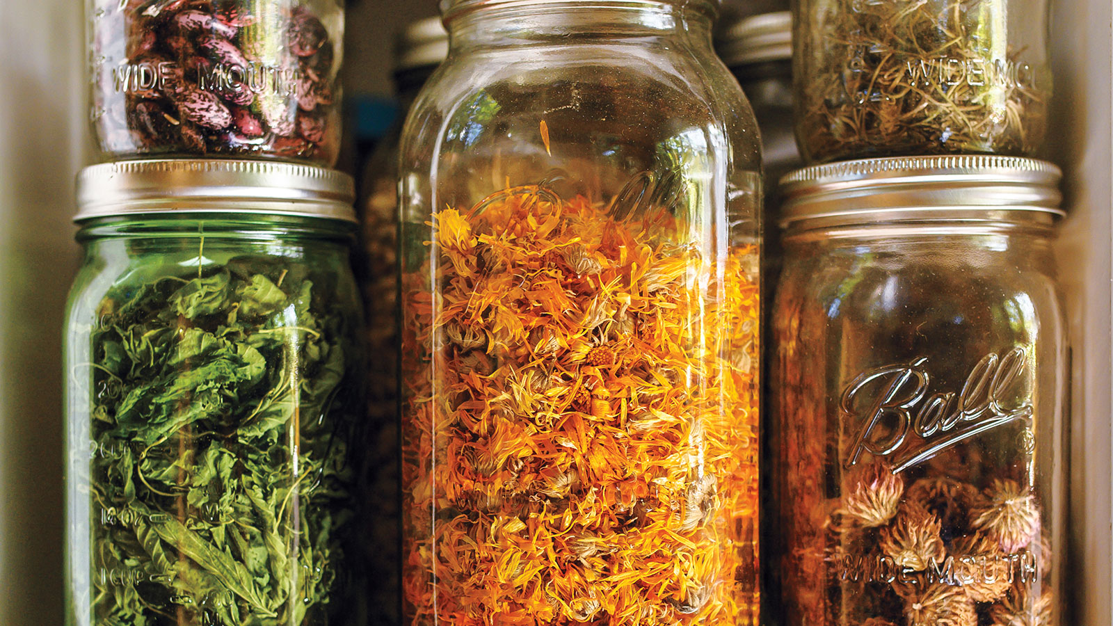Fan, Oven or Dehydrator? The Best Ways to Dry and Store Magic
