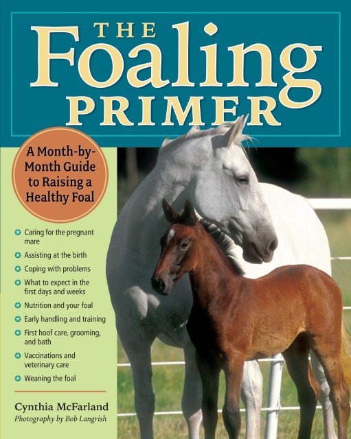 The Foaling Primer