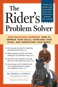 The Rider's Problem Solver