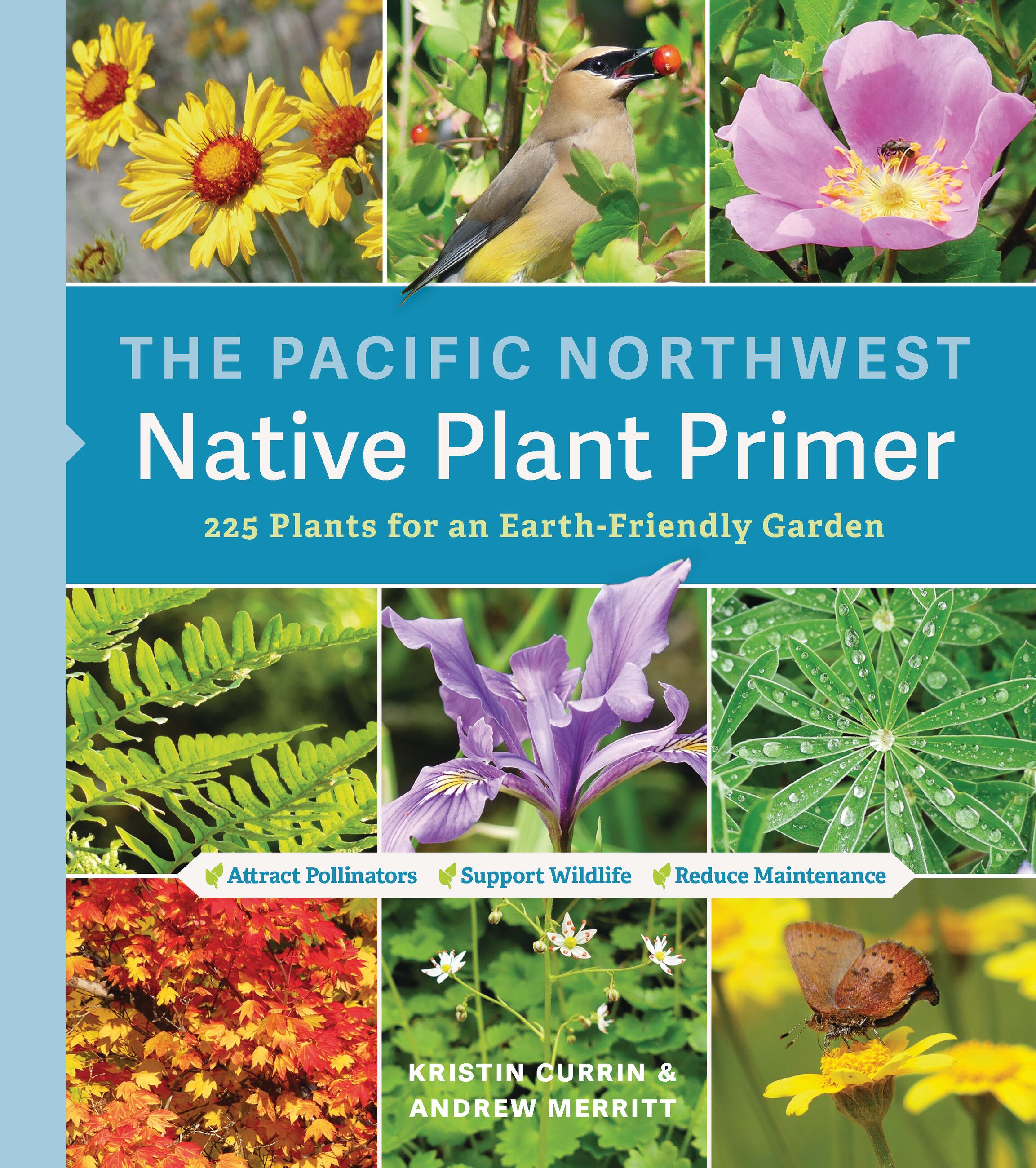 Timber Press Series Native Plant Primers Hachette Book Group   9781643260716 