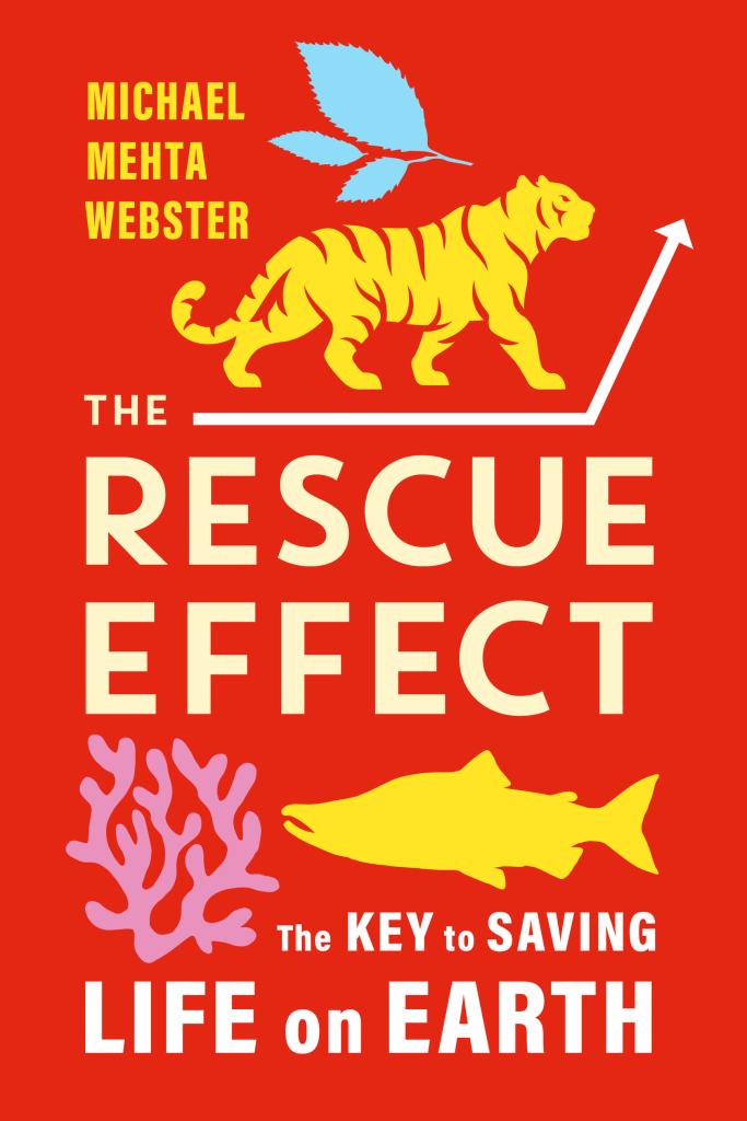 Book cover image of The Rescue Effect by Michael Mehta Webster.