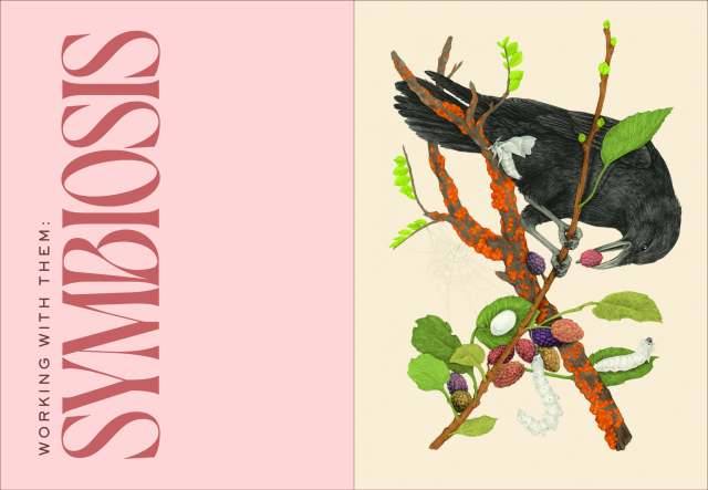 Text reads Working with them: Symbiosis along with an image of a bird, insects, and berries on one branch