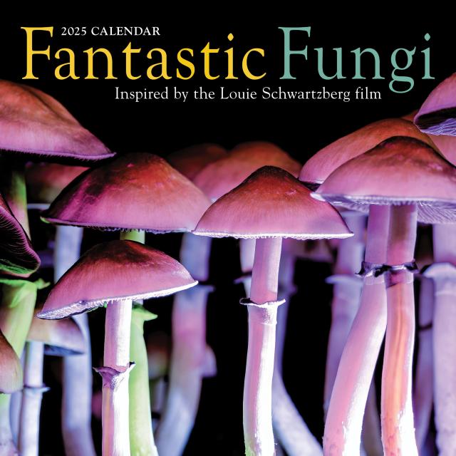 Fantastic Fungi Wall Calendar 2025 by Workman Calendars Hachette Book