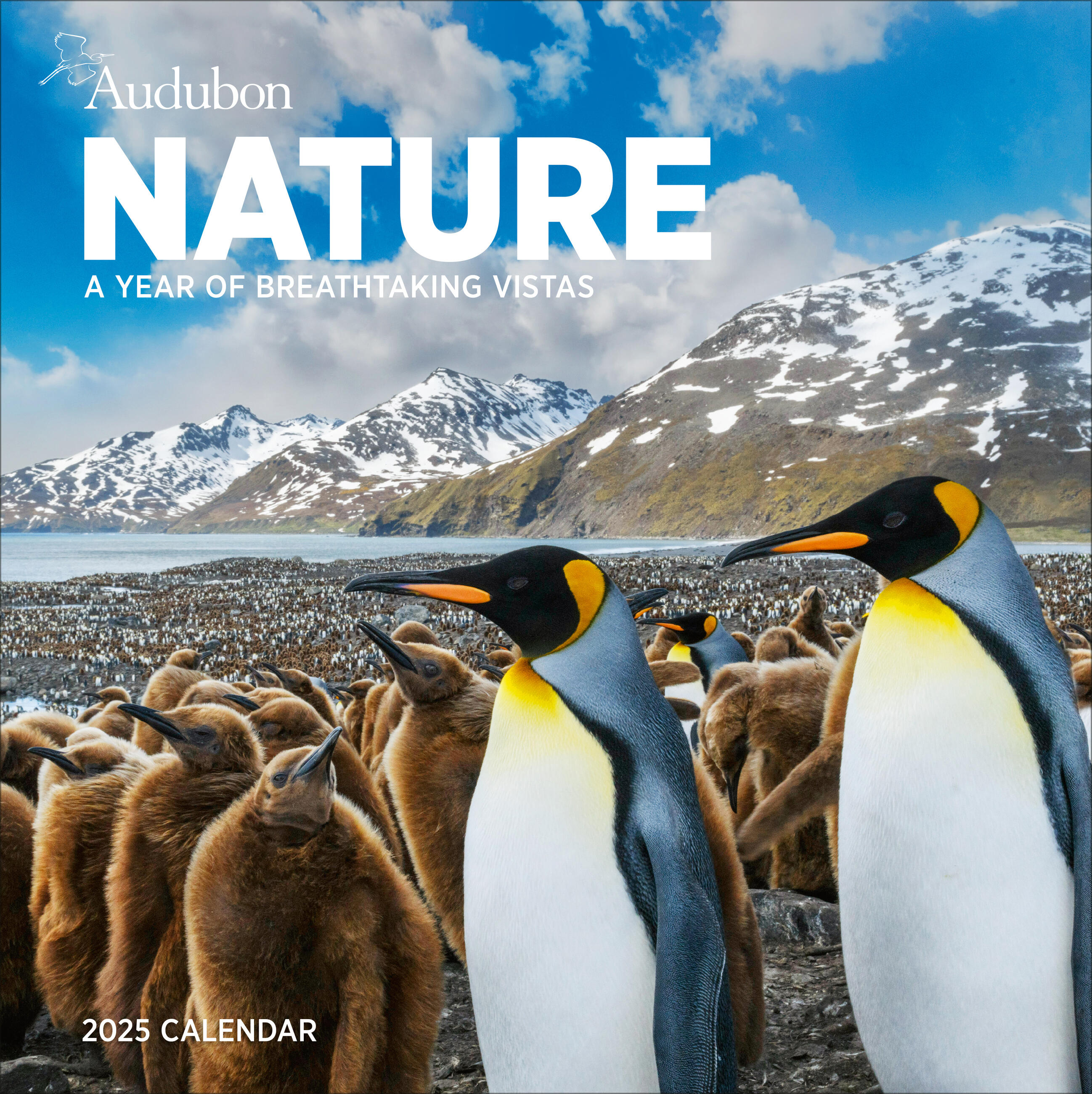 Audubon Nature Wall Calendar 2025 by National Audubon Society