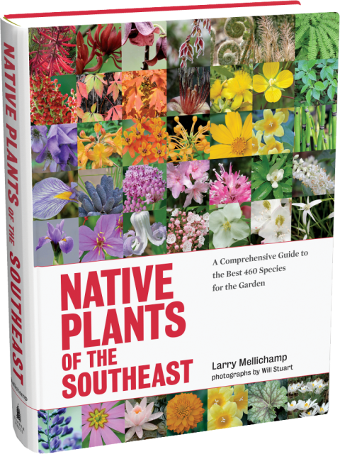 Native Plants of the Southeast by Larry Mellichamp