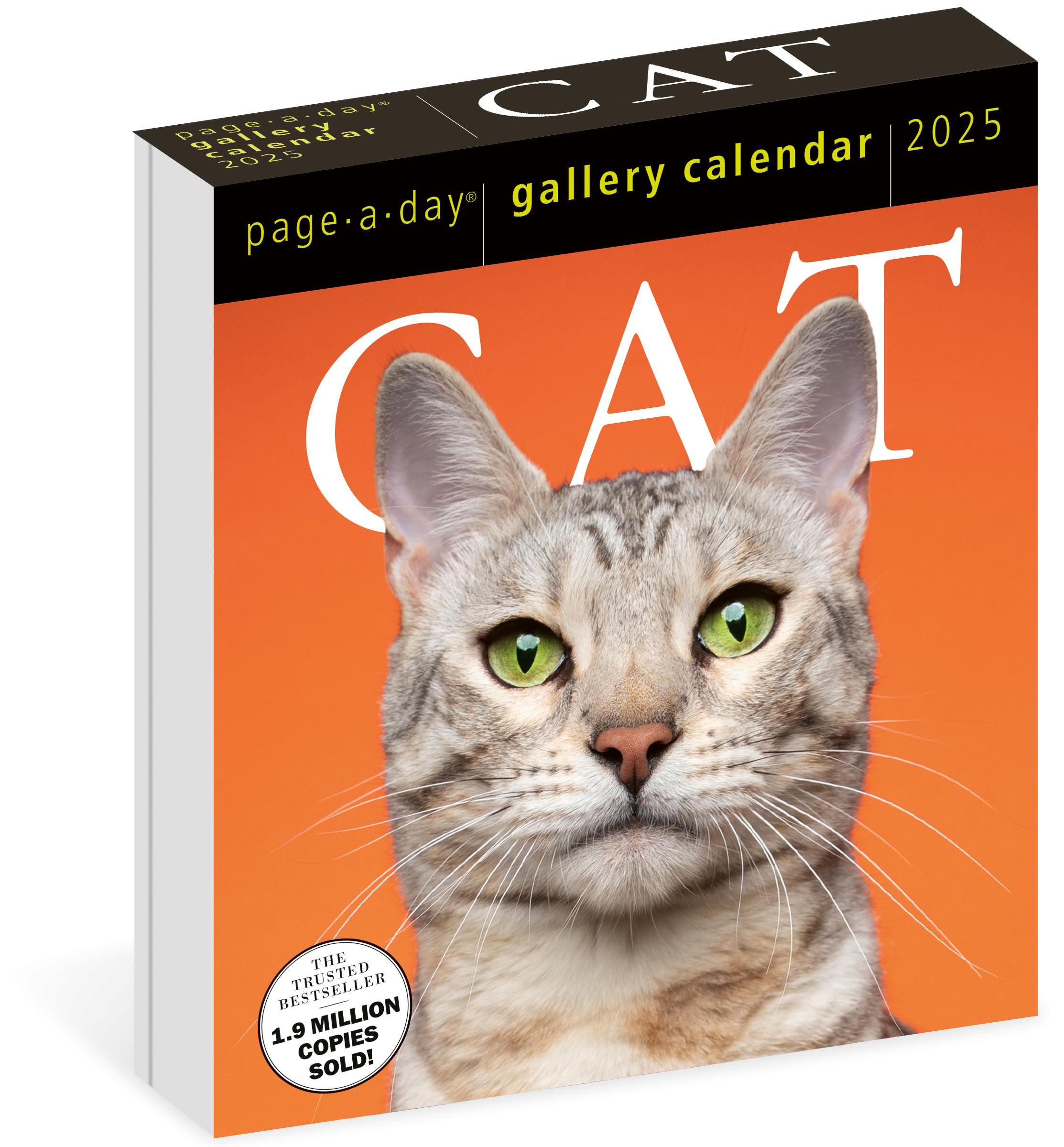 Cat PageADay® Gallery Calendar 2025 by Workman Calendars Hachette