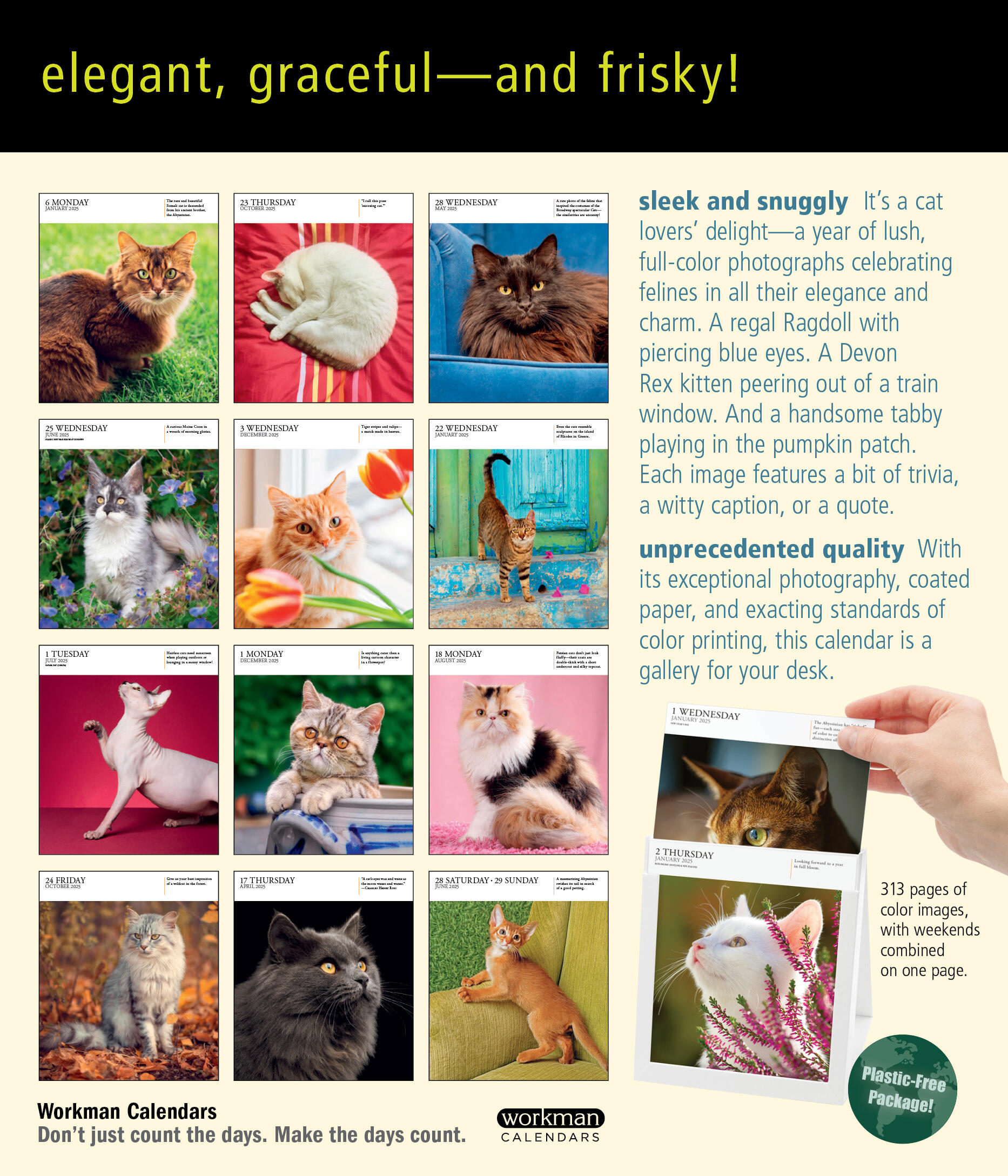 Cat PageADay® Gallery Calendar 2025 by Workman Calendars Hachette