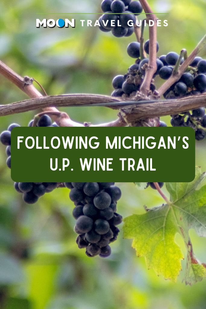 Image of purple grapes on vines with text Following Michigan's U.P. Wine Trail