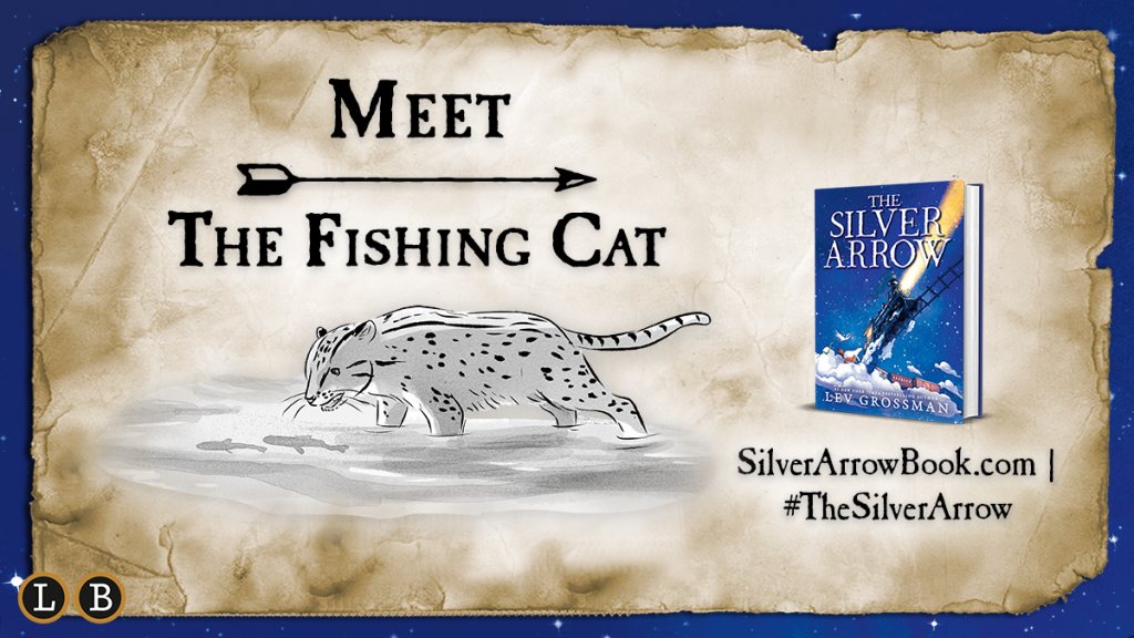 Meet the Fishing Cat