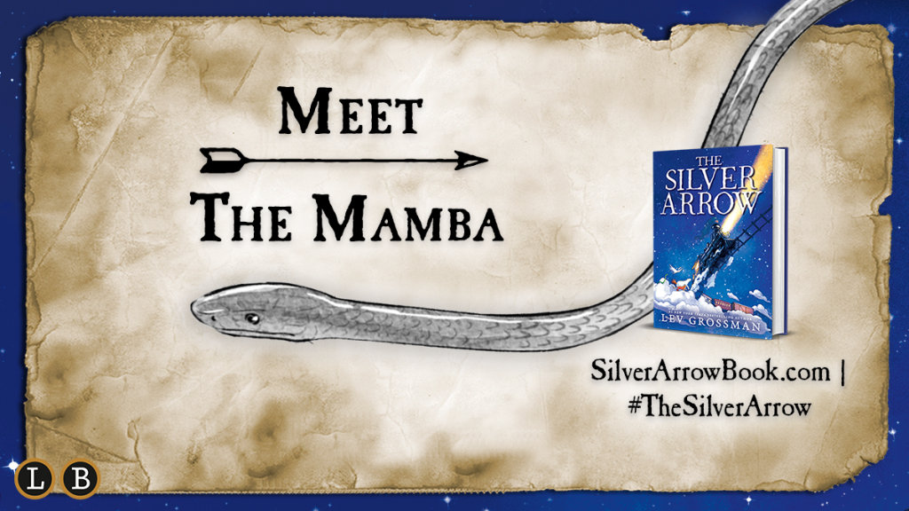 Meet the Mamba