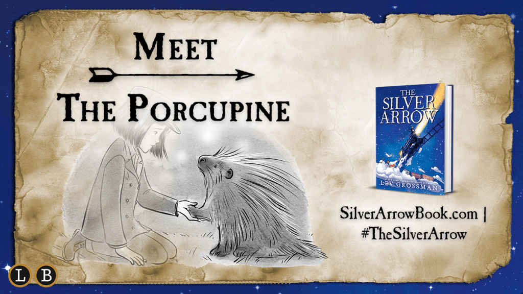 Meet the Porcupine