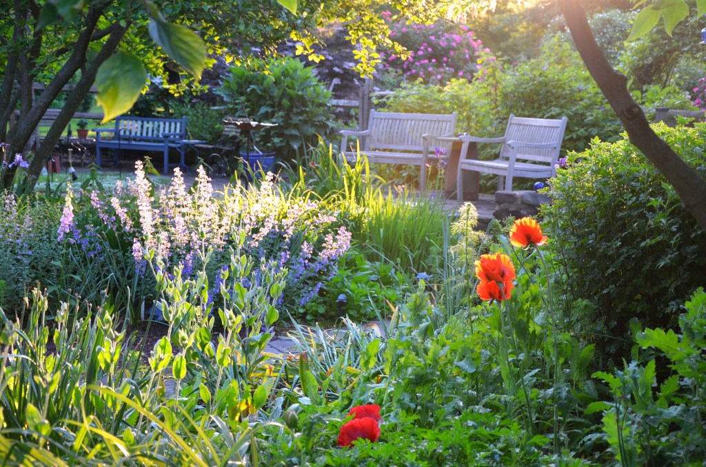 Jenny Rose Carey's Northview garden