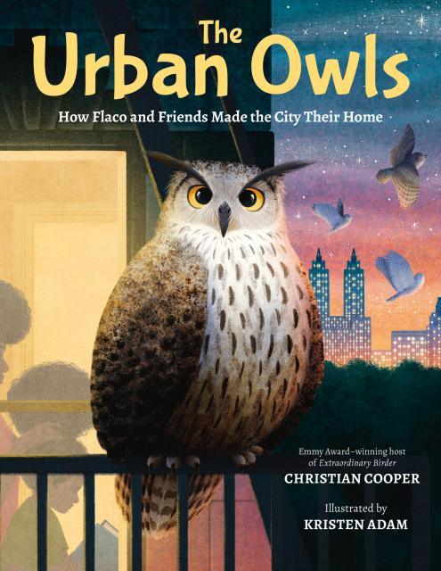 The Urban Owls