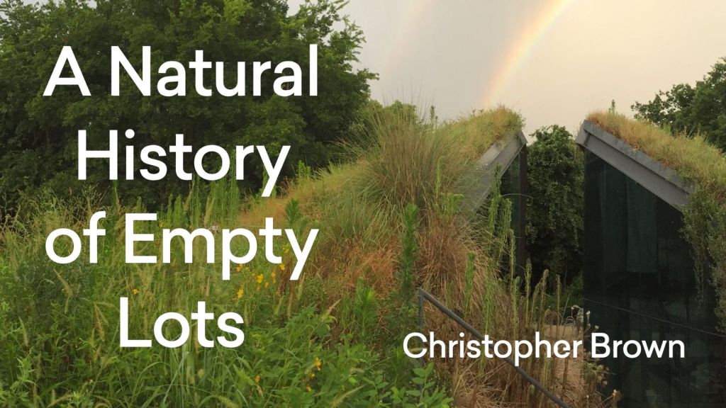 A Natural History of Empty Lots