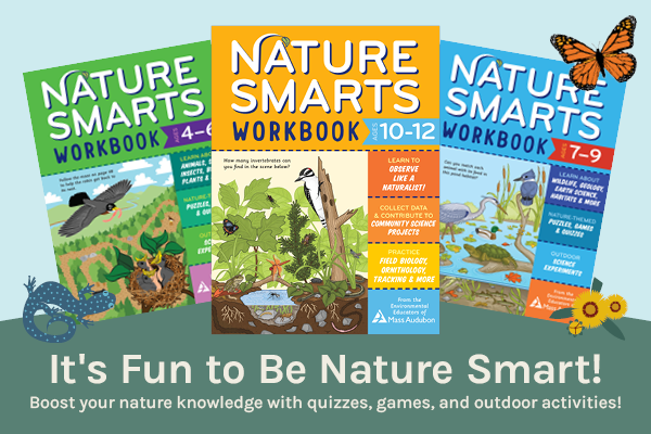 Nature Smarts Workbooks