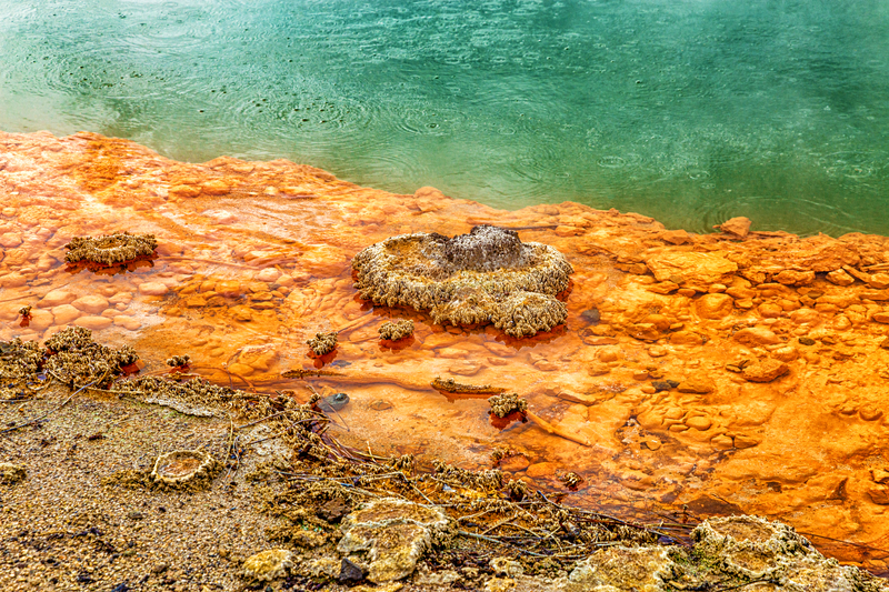 Close-up image of the edge of a turquoise geothermal pool next to bright orange terrain.