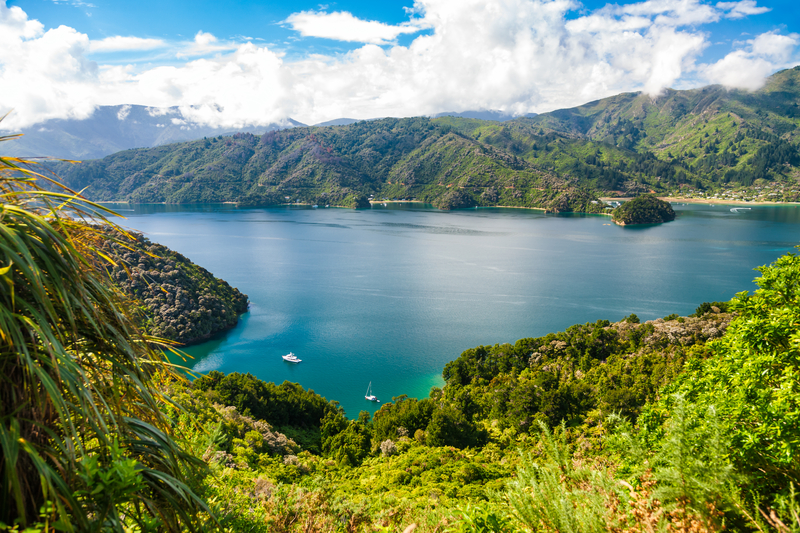 Image of bright blue sound surrounded by bright green forested mountains.