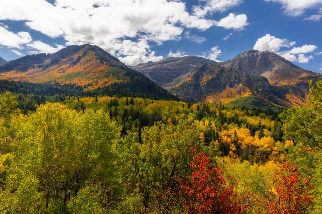 Image of mountains with a forest of fall colors in the foreground under blue sky with white clouds