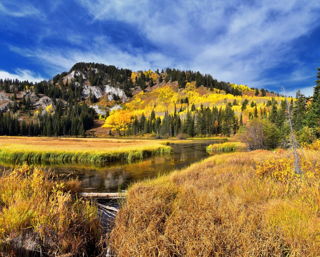 Image of a lake amid golden grassy land with colorful yellow forest and low mountain in the distance.