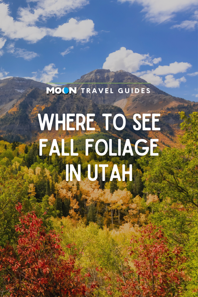 Image of mountain and fall forest with text Where to See Fall Foliage in Utah