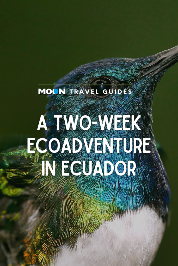 Image of a turquoise hummingbird with text A Two-Week Ecoadventure in Ecuador