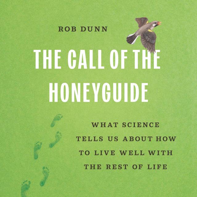 The Call of the Honeyguide