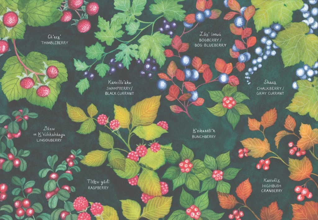 Berry Song endpapers