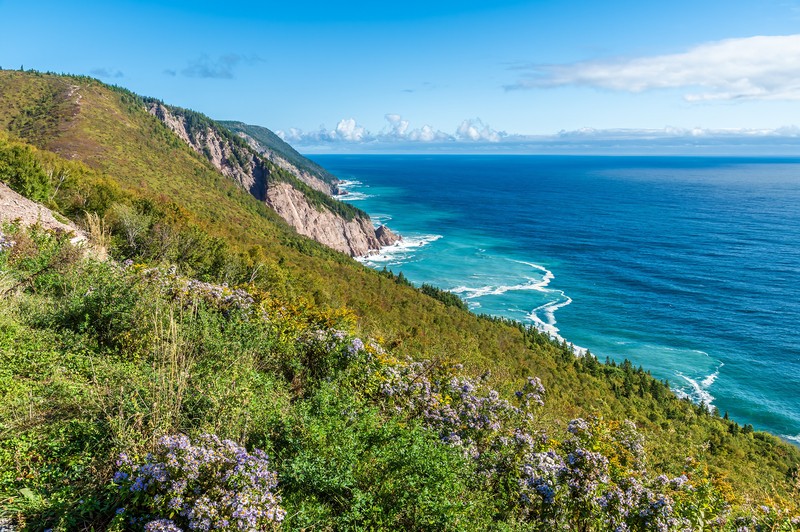 Scenic overlook of green rocky cliffs overlooking turquoise blue ocean under bright blue sky.