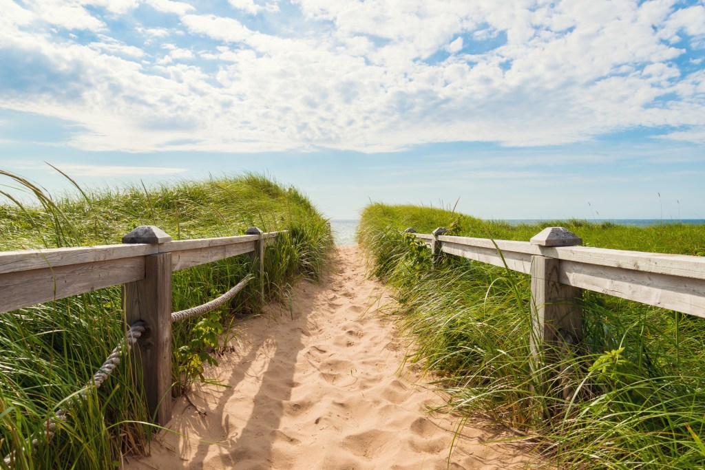 A sandy path lined with wooden railing and green grass leading to the beach.