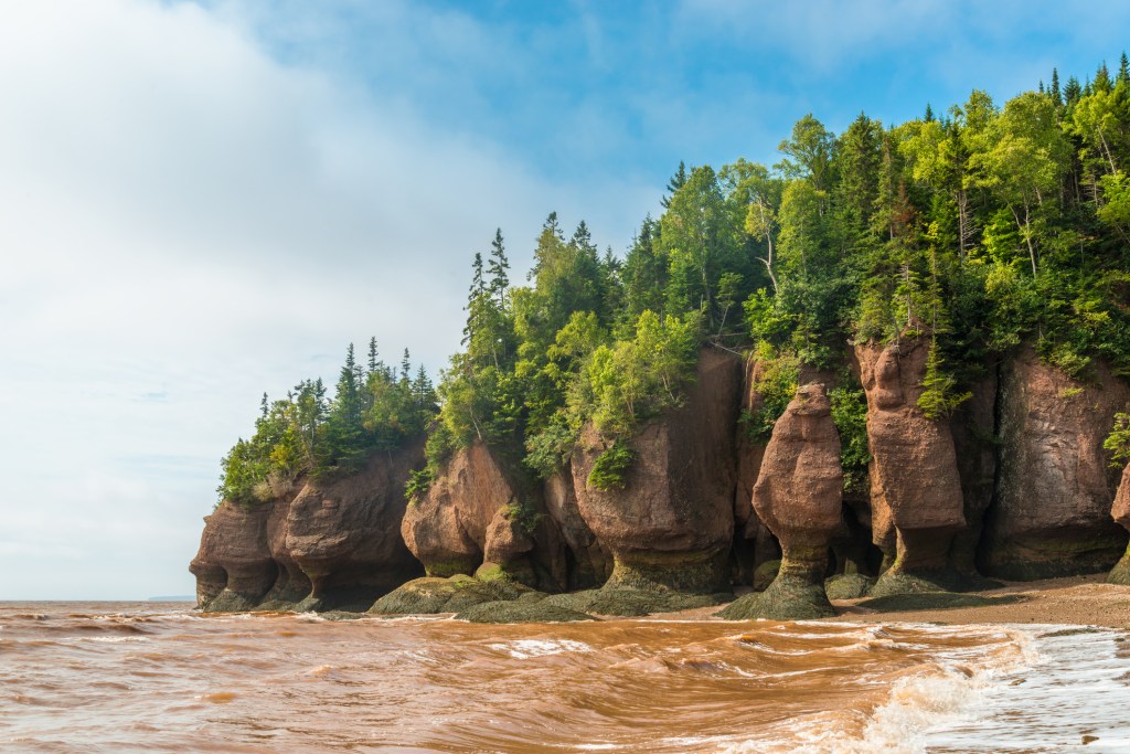 Image of towering rock formations covered in evergreen trees in ocean at low tide.