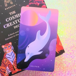 Photo of the Dolphin card from "Mystic Mondays: The Cosmic Creatures Deck"